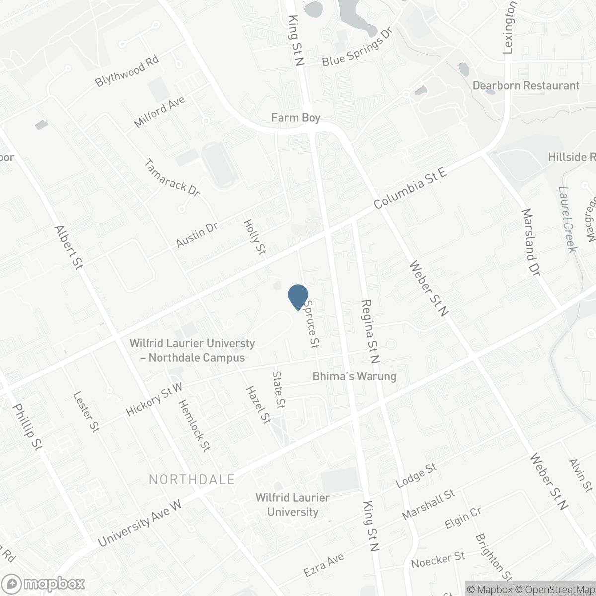 329 SPRUCE STREET, Waterloo, Ontario N2L 3M6